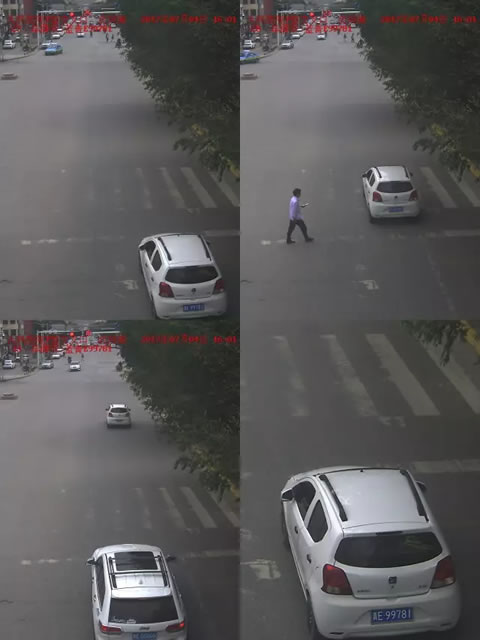 七、违法车辆：青E·99781