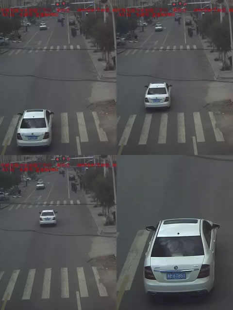 四、违法车辆：青E·67851