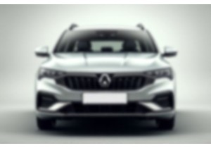 上牌照流程中的拍照要求车身颜色与背景规范标准