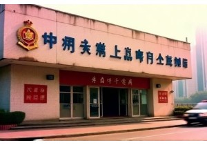 重庆交通违章查询网址