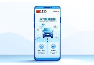 车牌号码车主查询服务支持全国多地实时验证