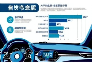 车牌号怎么选避开重复率高号码 提升一次通过率技巧