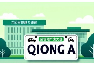 海口新车入户费用含琼A新能源牌照绿色通道费