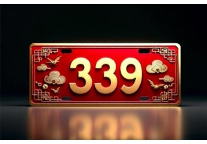 车牌号码什么数字好兼顾朗朗上口与文化寓意