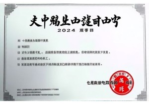 上牌代办注意事项委托书模板下载 官方格式免费获取