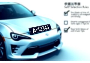 汽车上牌自选号规则解读如何提高心仪号码命中率