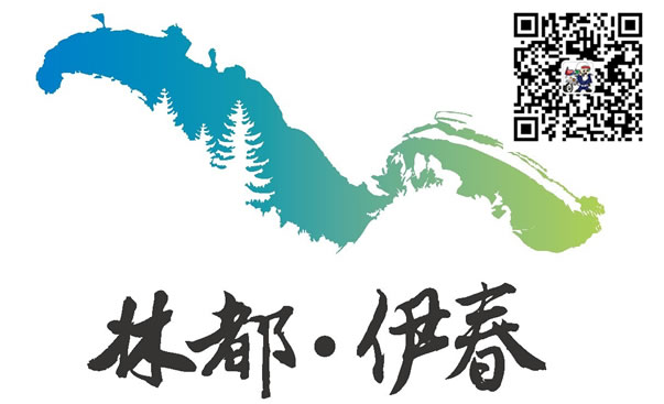 伊春新车网上选号上牌指南