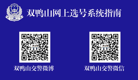 双鸭山新车网上选号上牌指南