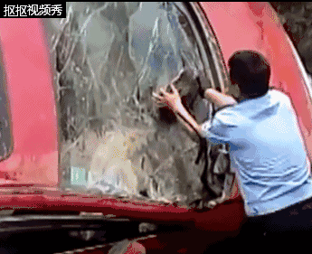 一男子卡在车内奄奄一息，交警举起巨石…