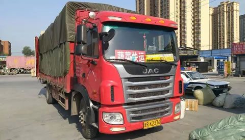 全城通缉：车牌号鲁RK2376驾驶人速来天桥交警大队自首！