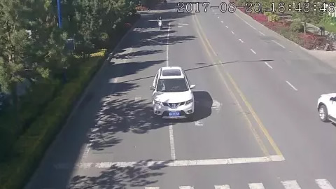 阿勒泰市28个路口 机动车交通违法行为抓拍曝光