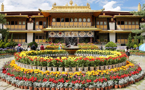 关于罗布林卡附近车辆停放问题的通告