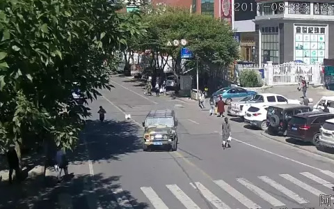 一个卡口的告白