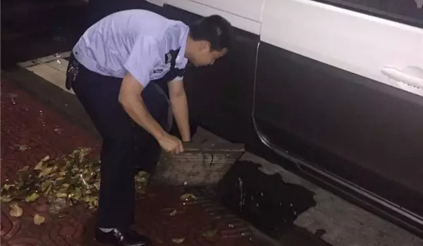 风雨中的坚守!抗击台风“帕卡”,他们逆风前行