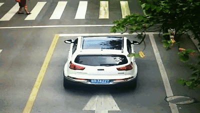 近距离曝光不礼让斑马线违法行为