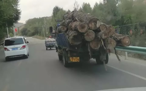 随手拍举报交通违法行为 快看有你吗？