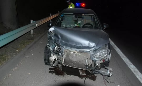 醉酒弃车逃逸 交警神速破案