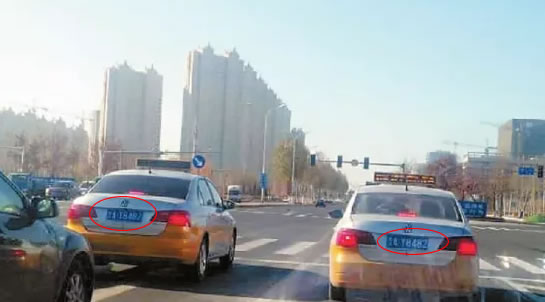 车牌惊现双胞胎 谁真谁假？