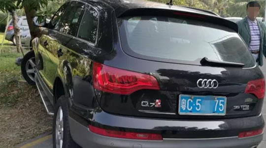 女司机驾驶奥迪油门当刹车，差点冲进幼儿园！