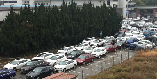 张家港车管所人山人海，要办业务的必看！