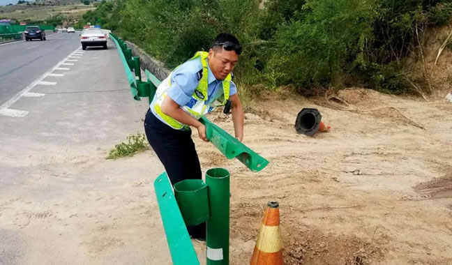 4头毛驴闯进太佳高速,警车尾随3公里安全驱离