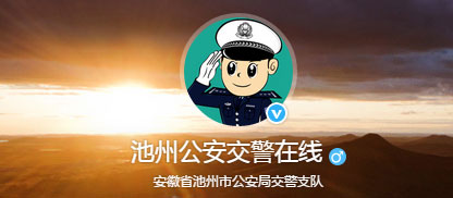 池州新车车牌网上选号地址及指南