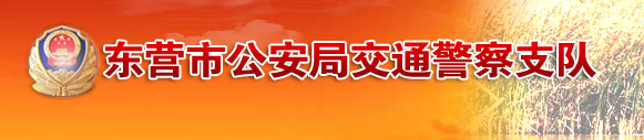 东营新车车牌网上选号地址及指南