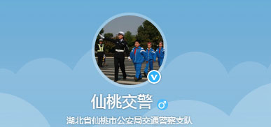 仙桃新车车牌网上选号地址及指南