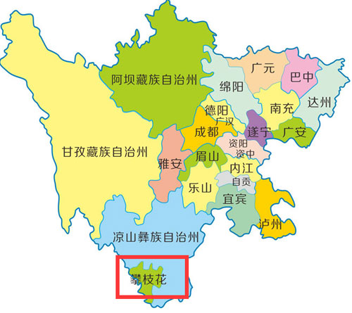 攀枝花网上车管所选号