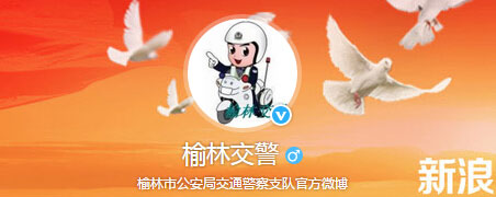 榆林新车车牌网上选号地址及指南