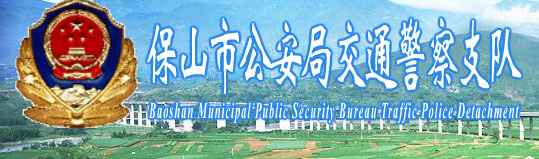 保山新车车牌网上选号地址及指南