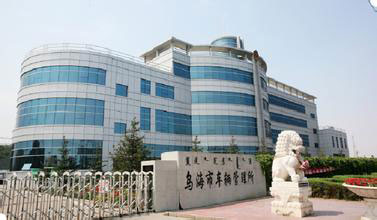 乌海市公安局交警支队车管所四大举措 搭建网络平台办理更便捷