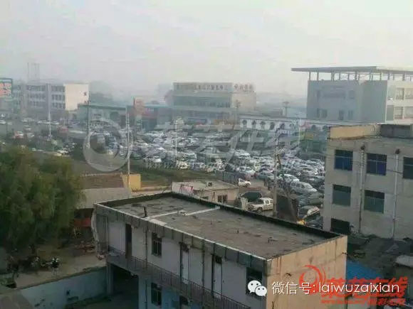 莱芜车管所发放新车牌号段-汽车排队长度近两公里-(4)