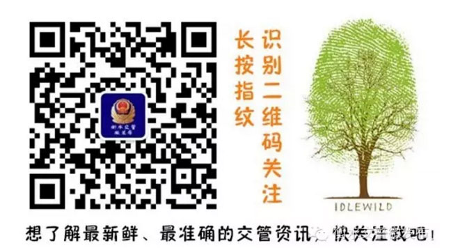 衡水车管所新号段引发购车潮 三天办理车辆上牌业务2280辆