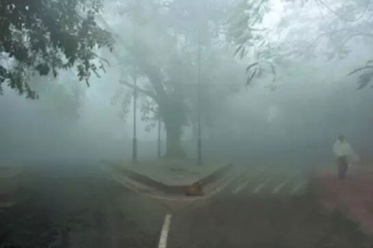 印度禁止超过2.0的柴油车在德里上牌 治理当下的大气污染